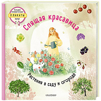 Спящая красавица Спящая красавица