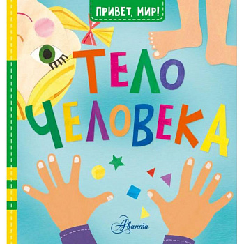 Тело человека Тело человека