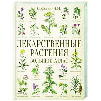 Лекарственные растения. Большой атлас Лекарственные растения. Большой атлас