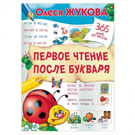 Развитие речи. Чтение, книга Первое чтение после букваря купить по скидке