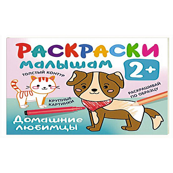 Домашние любимцы Домашние любимцы