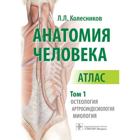 Медицинские энциклопедии и справочники, книга Анатомия человека. Атлас в 3-х томах. Том 1. Остеология, артросиндесмология, миология купить по скидке