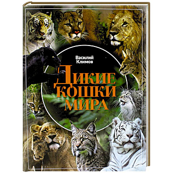 Дикие кошки мира Дикие кошки мира