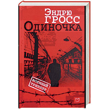 Одиночка Одиночка