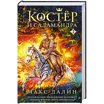 Костер и Саламандра. Книга 3