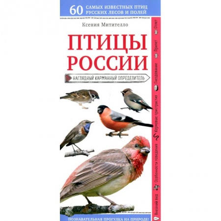 Зоология, книга Птицы России. Наглядный карманный определитель купить по скидке