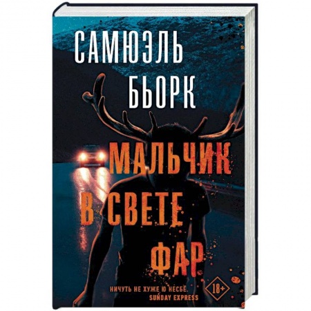 Зарубежный детектив, книга Мальчик в свете фар купить по скидке